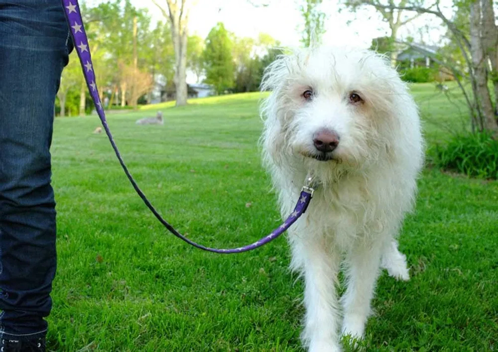 100% Hemp Decorative Leashes - 10 Patterns