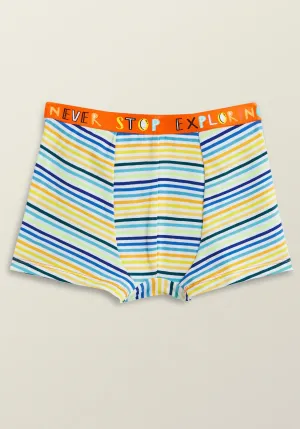 Arcade Boys Trunks Orange Tencel Modal