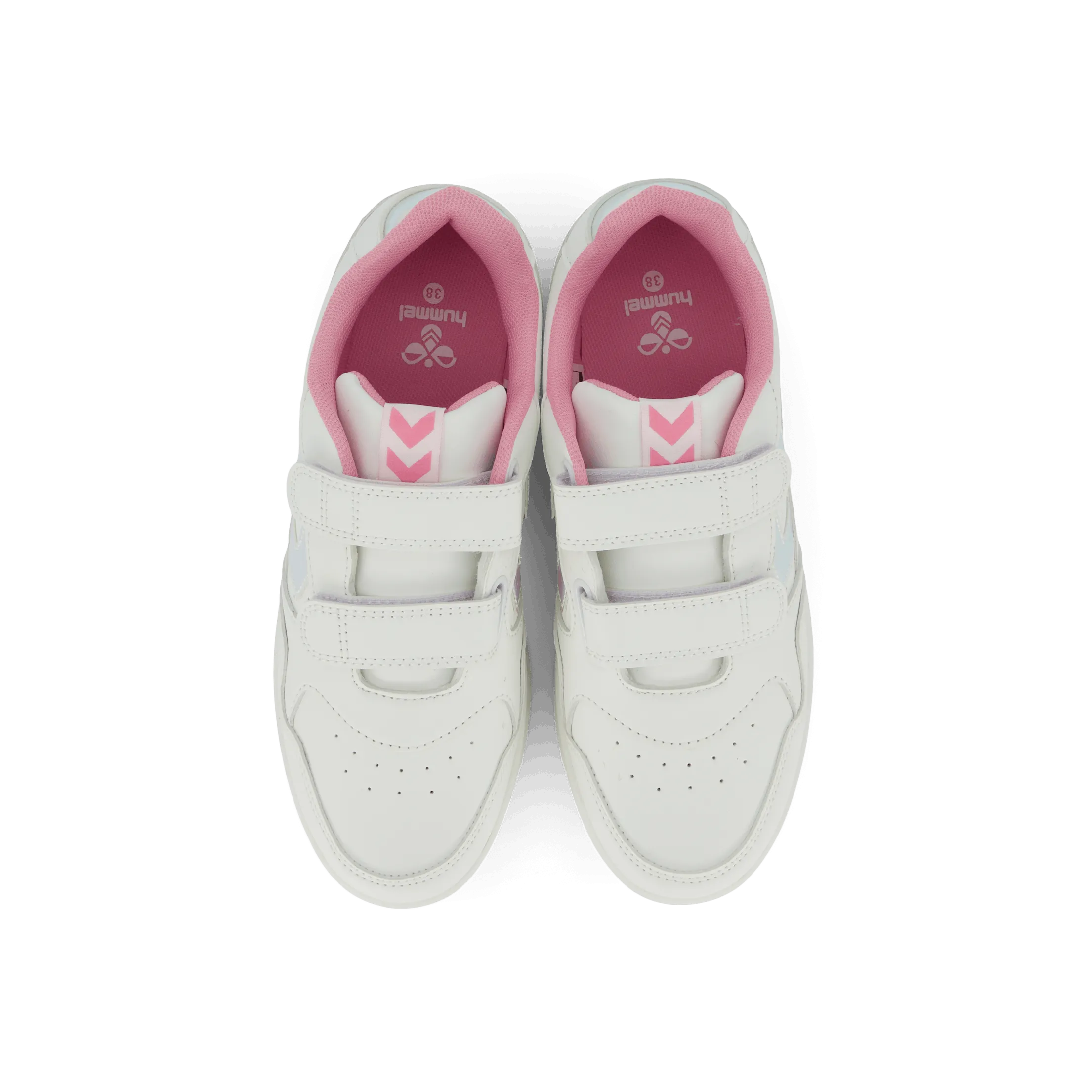 Camden Jr Begonia Pink
