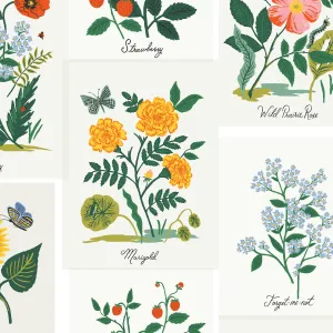 Curio, Botanical Prints in Pink Multi CANVAS