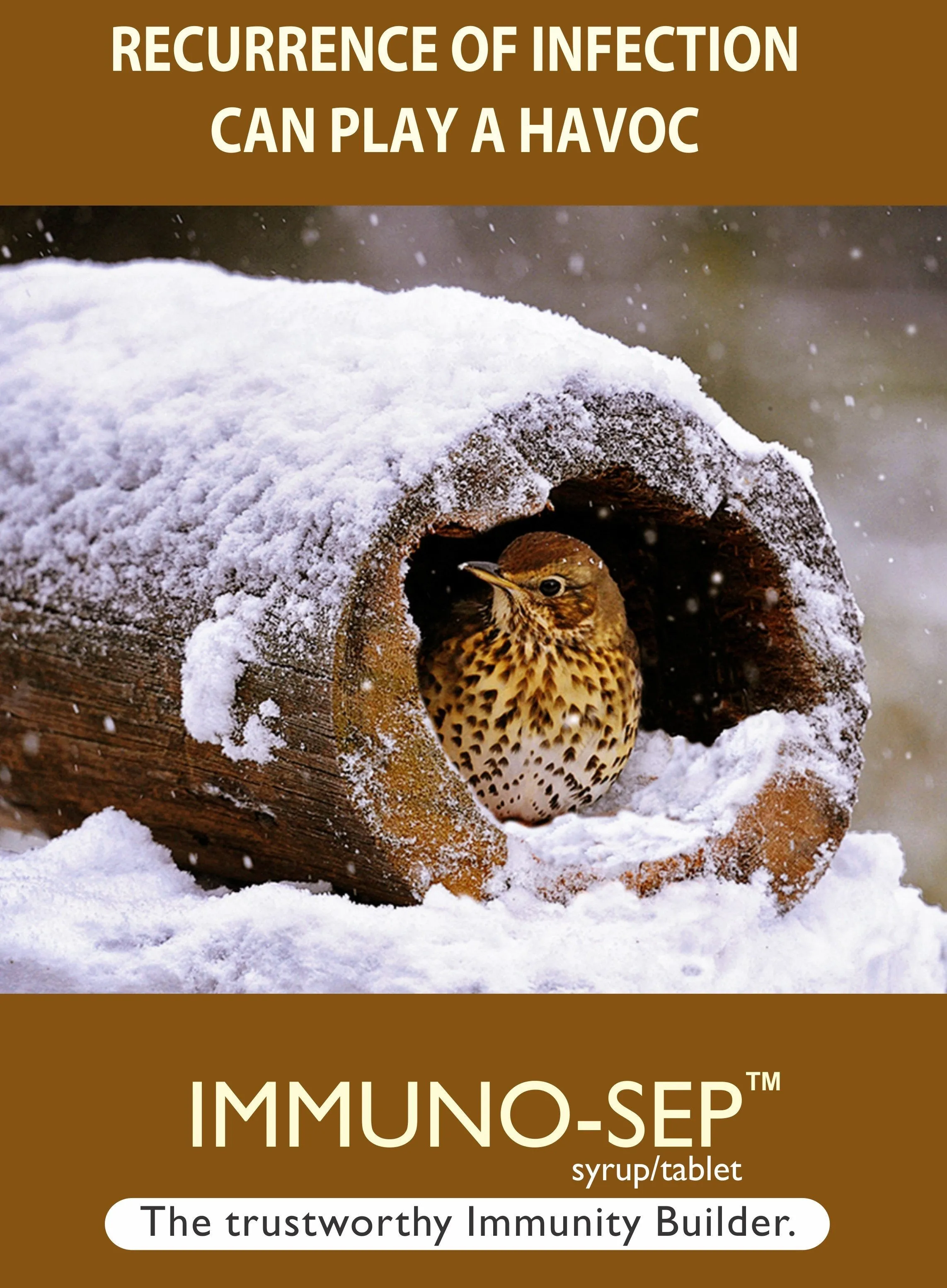 Immuno-sep Syrup | A Natural Immunity Booster With Goodness of Giloy, Amla, Mulethi & Manjistha | Supports in Respiratory Health & URTI and LRTI | Builds Immunity & Fights Against Allergies