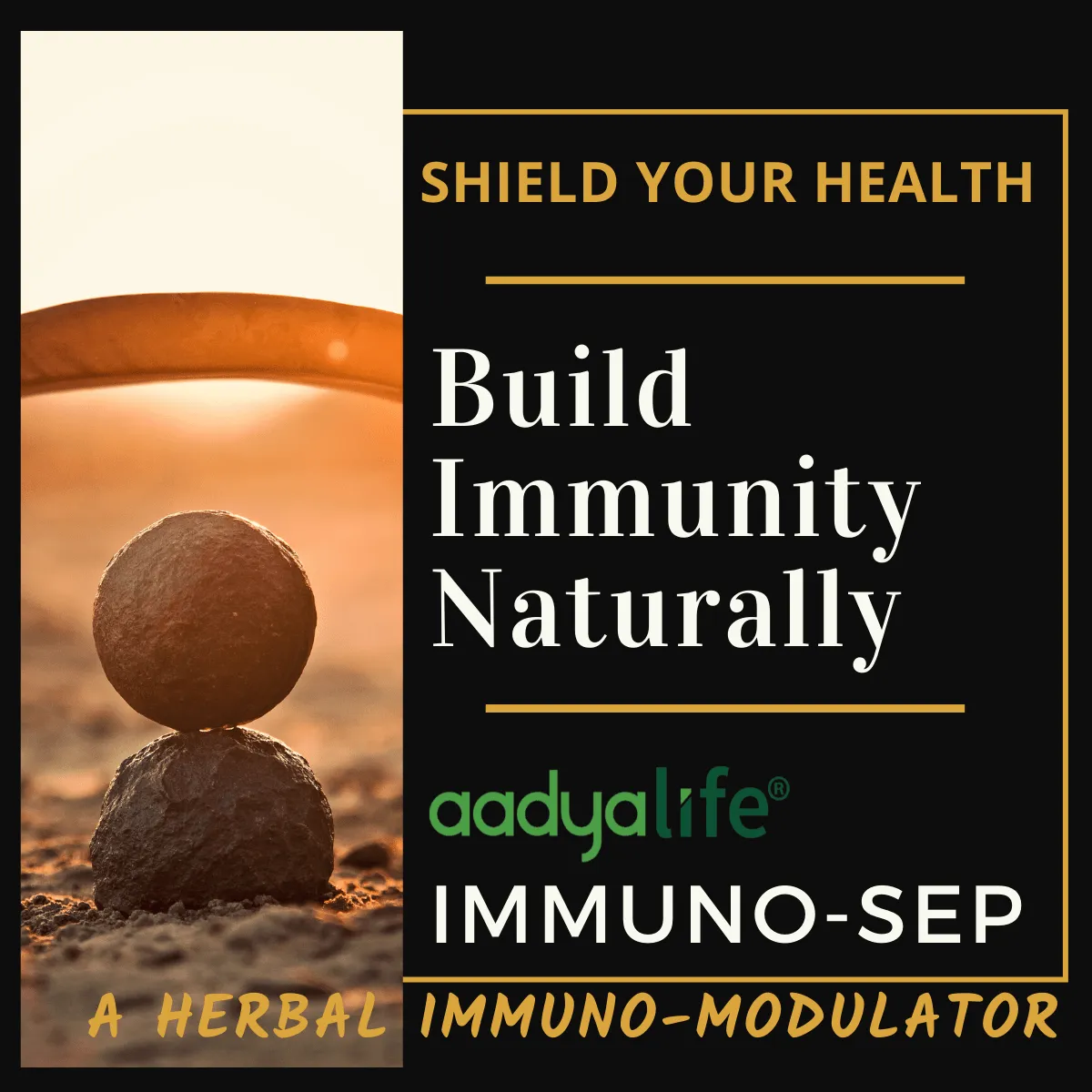 Immuno-sep Syrup | A Natural Immunity Booster With Goodness of Giloy, Amla, Mulethi & Manjistha | Supports in Respiratory Health & URTI and LRTI | Builds Immunity & Fights Against Allergies