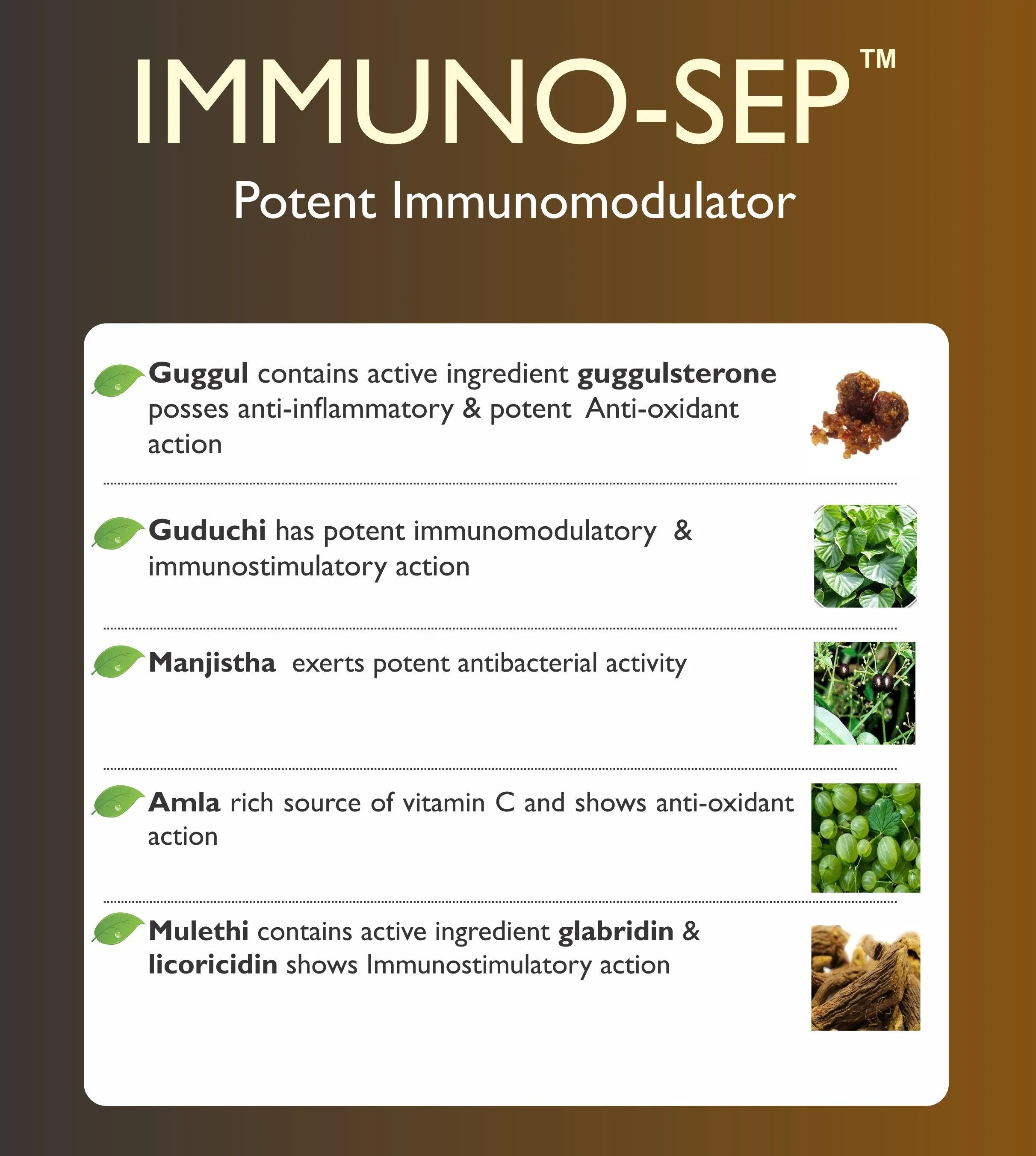 Immuno-sep Syrup | A Natural Immunity Booster With Goodness of Giloy, Amla, Mulethi & Manjistha | Supports in Respiratory Health & URTI and LRTI | Builds Immunity & Fights Against Allergies