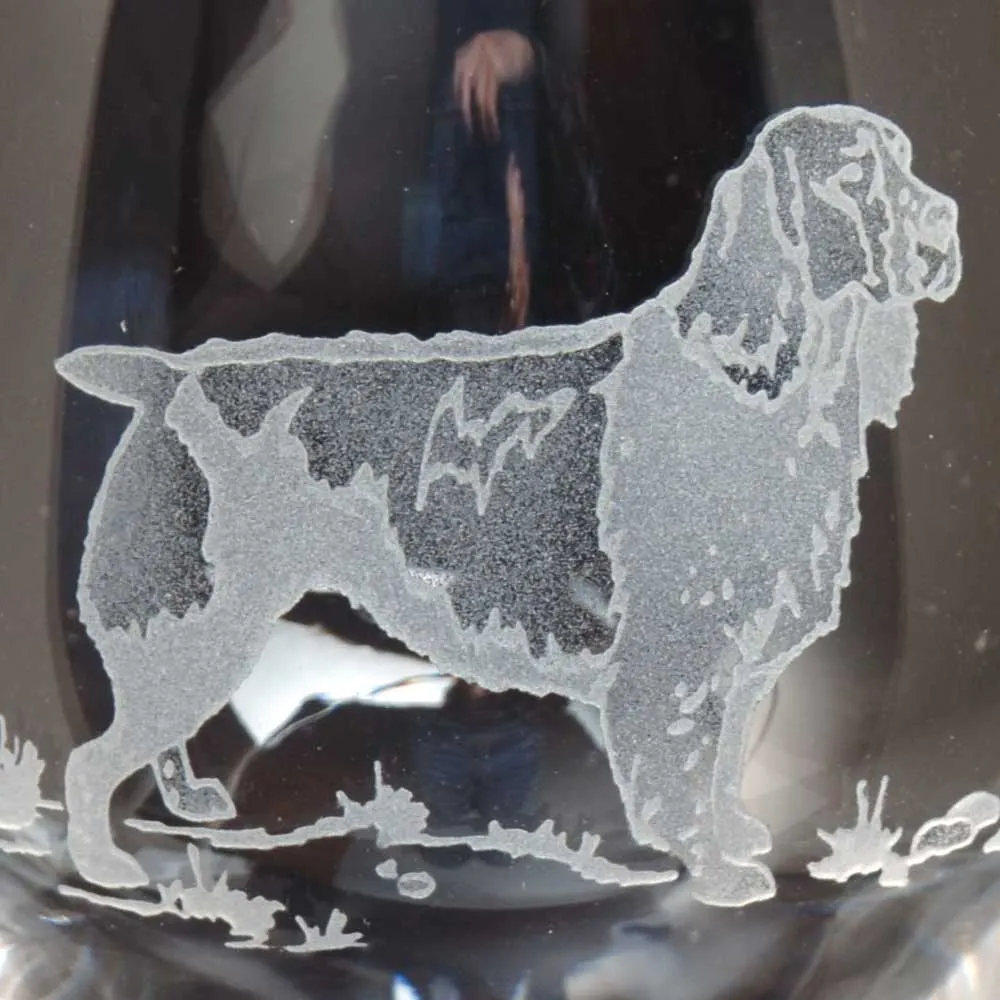 Kevin's Crystal Stemless Wine Glass