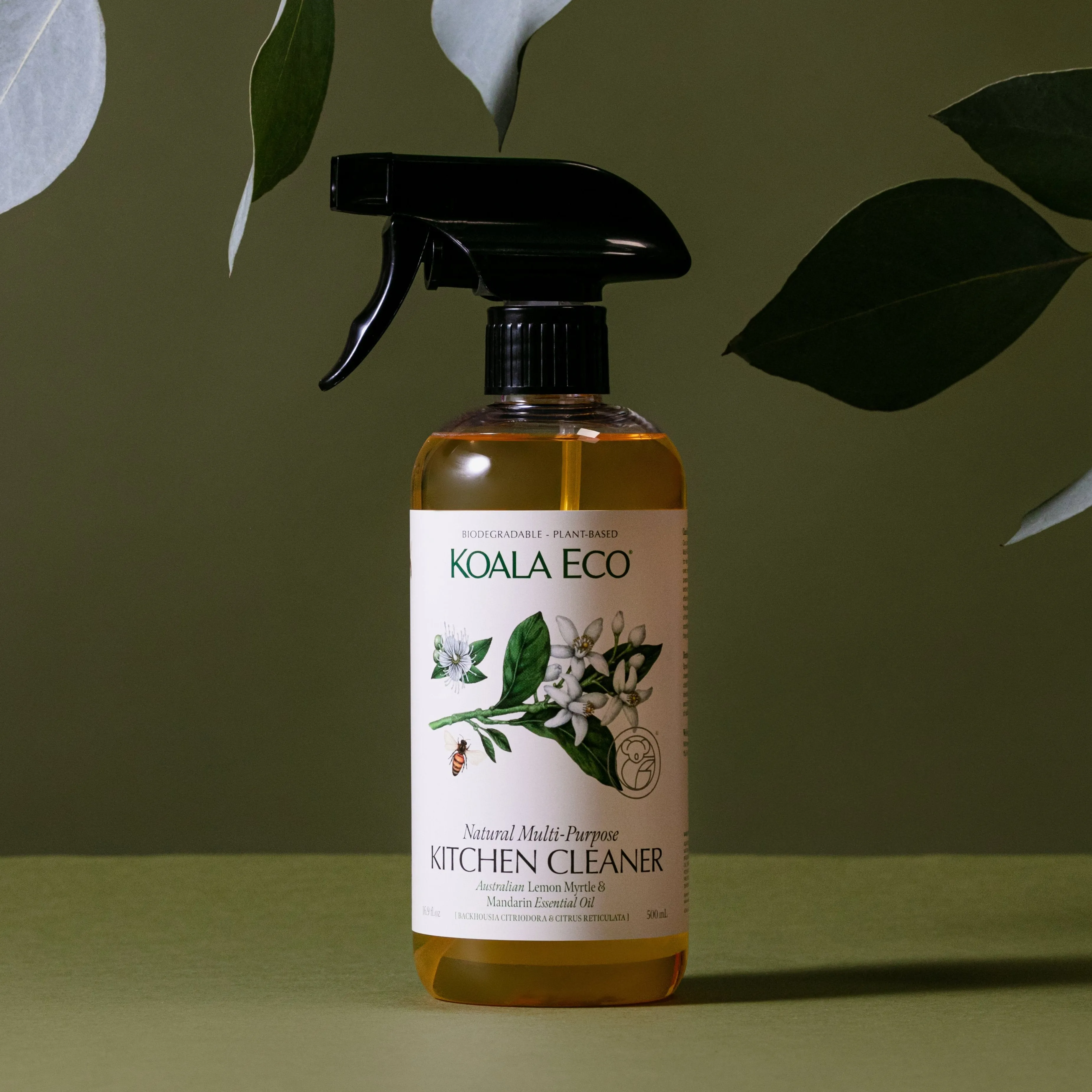 Kitchen Cleaner Duo