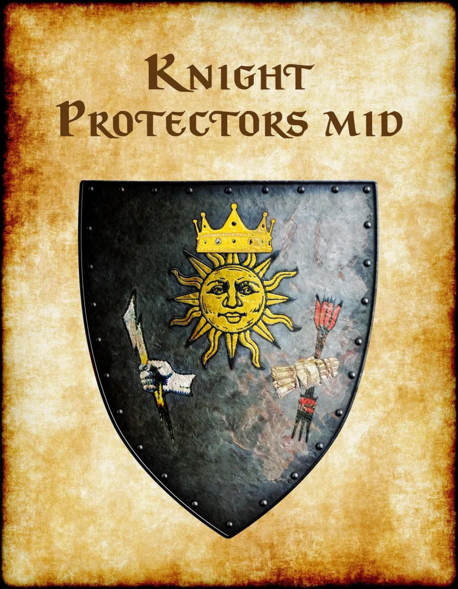 Knight Protectors Mid Heraldry of Greyhawk Anna Meyer Cartography Canvas Art Print