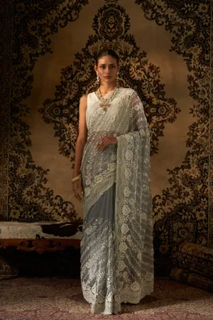 Net With Pearl Work Saree