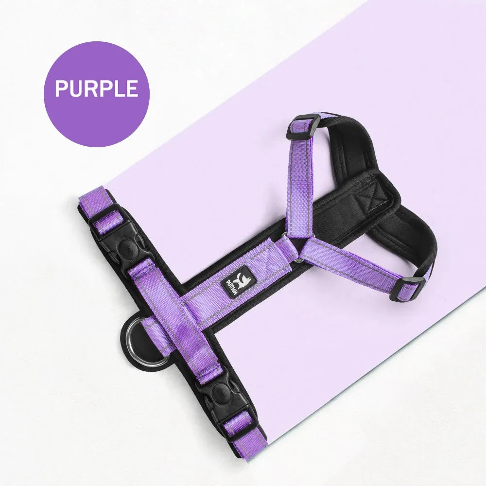 No-Pull Dog Harness, Reflective & Padded, Adjustable for Small & Medium Dogs