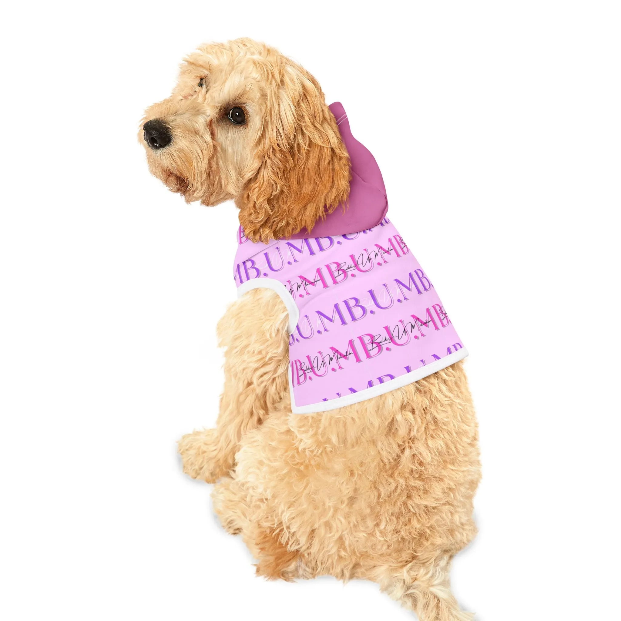 Pet Hoodie
