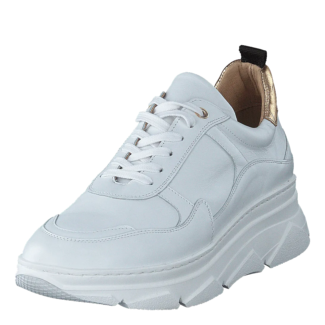 Quingo Bco White   Croc Gold