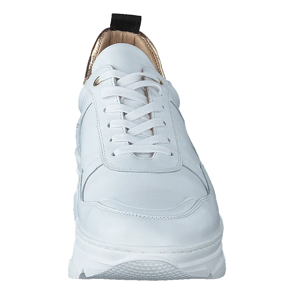 Quingo Bco White   Croc Gold