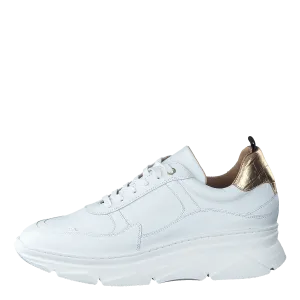 Quingo Bco White   Croc Gold