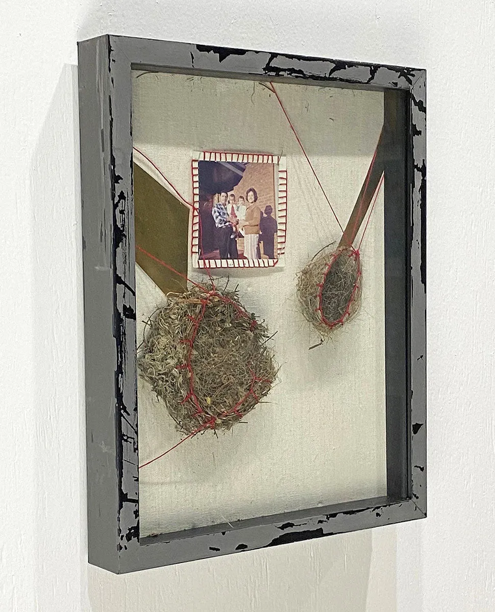 "Empty Nest 2" by Madeline Martin