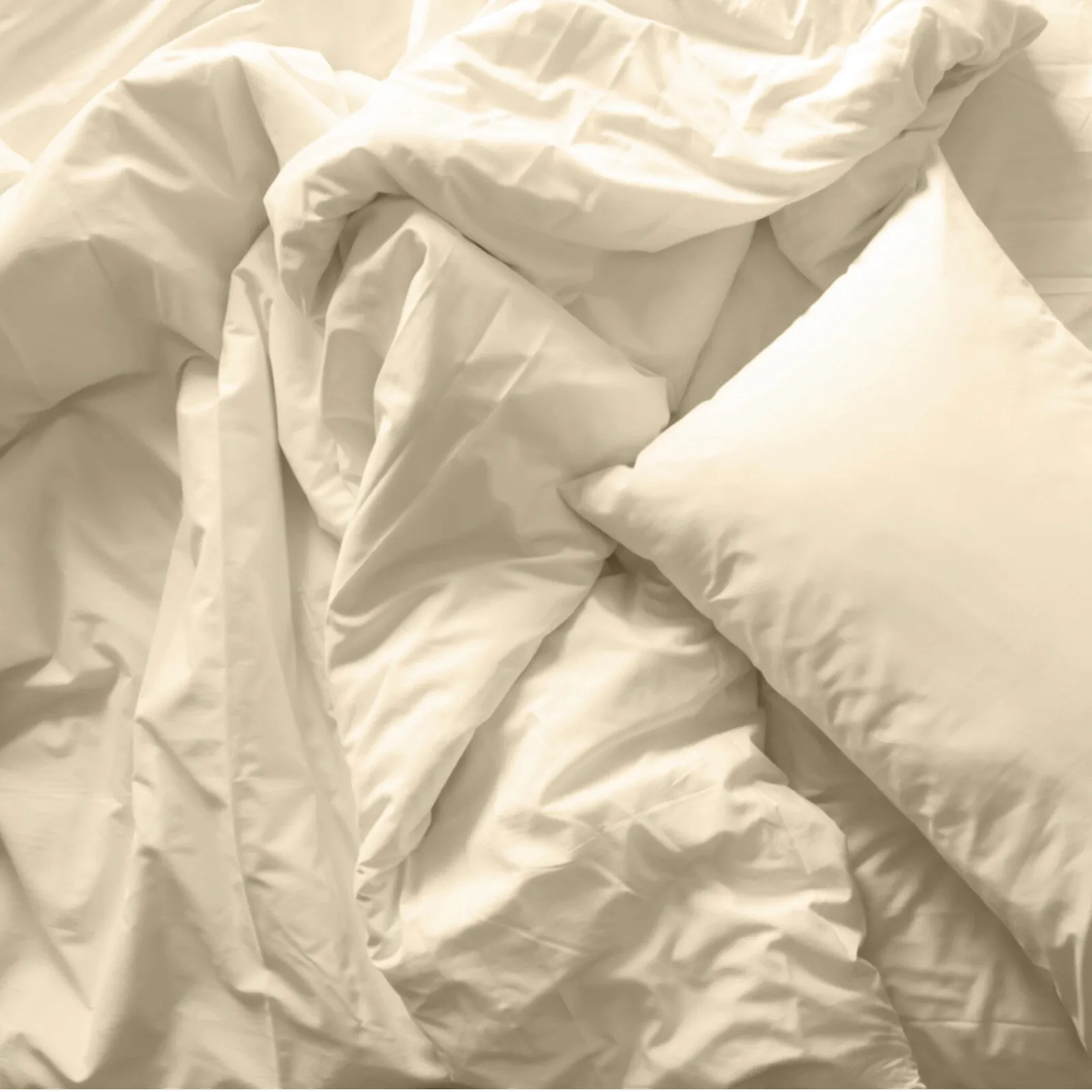 Royal Comfort Blended Bamboo Quilt Cover Sets -Dark Ivory-Double