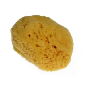 Small Natural Sponge