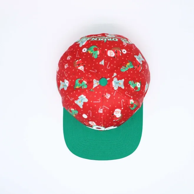 THE ORDINARIE 2024 XMAS COLLAB