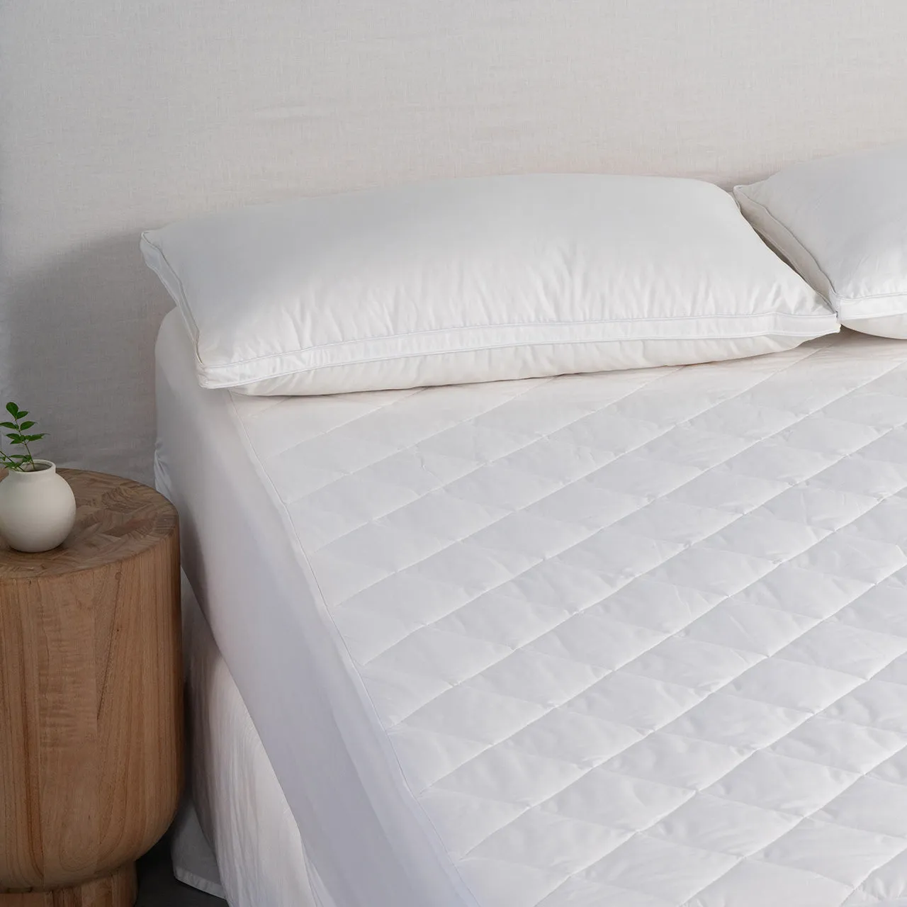 Zipper Pillow Protector Cooling Anti-Bacterial Cotton Hotel Collection by Robinsons